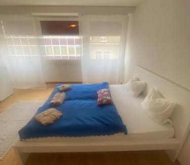 Lucerne Apartment | Downtown Flats, Lake Lucerne
