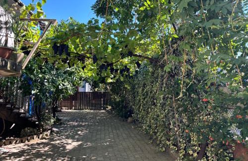 Kutaisi House | Downtown guest house