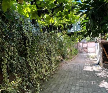 Kutaisi House | Downtown guest house