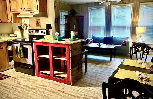 Blue Ridge House | Downtown in this cozy pet and family friendly mid century cottage