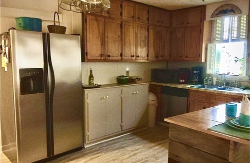 Blue Ridge House | Downtown in this cozy pet and family friendly mid century cottage