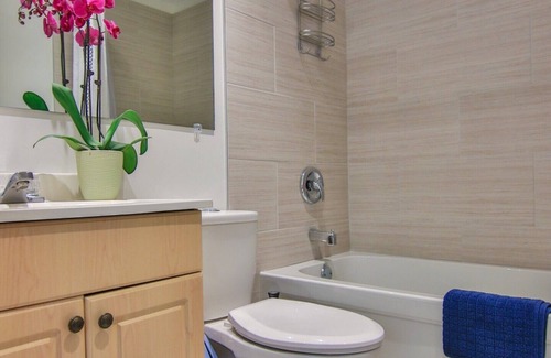 Downtown St. John's House | Downtown One Bedroom on Gower Street