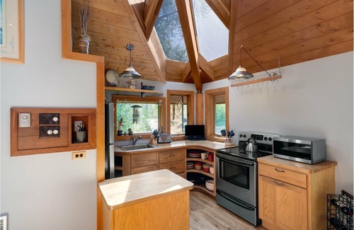 Steamboat Springs House | Downtown Soda Creek Haus