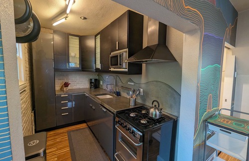 Colorado Springs House | Downtown Zen Spa-Style — 1 Bed/Bath, Spa Shower, Mural, Fun Patio, W/D, Hardwood