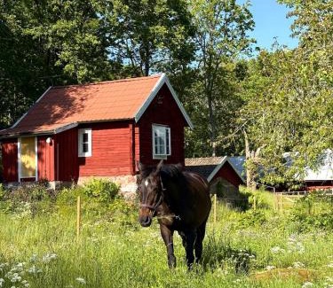 Ydre Municipality House | Drängstugan - Tiny House