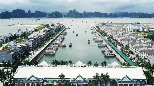 Ha Long Bed & Breakfast | Dragon hotel