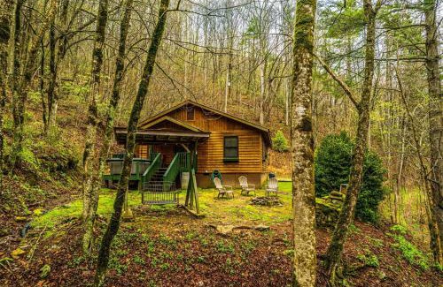 Bryson City House | Dragonfly Cabin