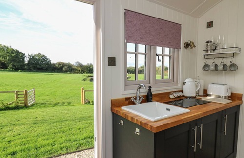 Llanarth Cottage | DRAGONFLY SHEPHERD'S HUT, pet friendly, with a garden in Aberaeron