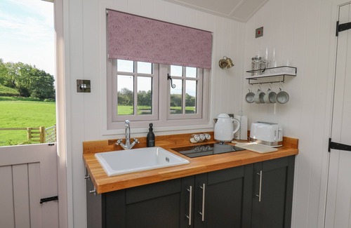 Llanarth Cottage | DRAGONFLY SHEPHERD'S HUT, pet friendly, with a garden in Aberaeron