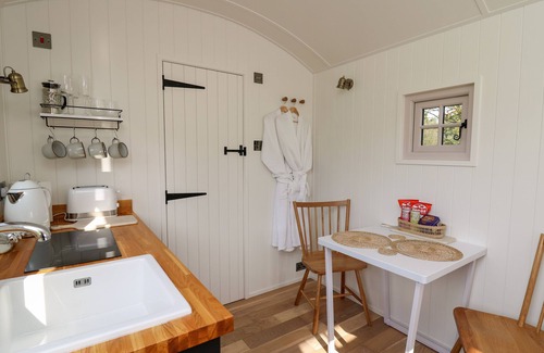 Llanarth Cottage | DRAGONFLY SHEPHERD'S HUT, pet friendly, with a garden in Aberaeron