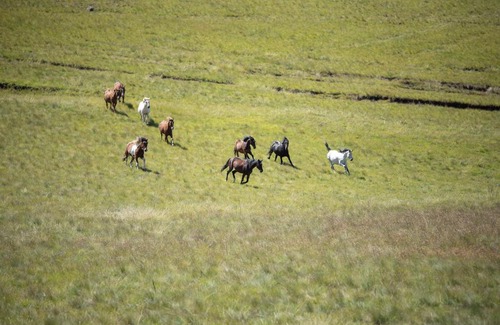 Kwa Sani House | Dragons Landing Guest Farm