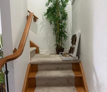 Thorold House | Dream Homes