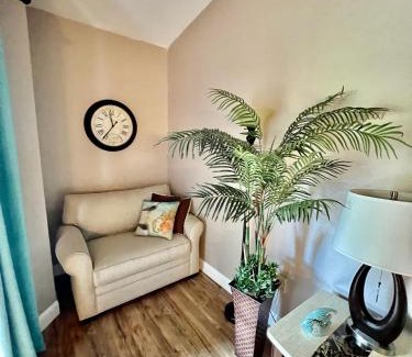 Clearwater Apartment | Dream Vacation Lovely Condo minutes from Beach King bed Heated pool Gym