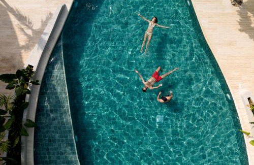 Palomino Hostel | Dreamer Palomino