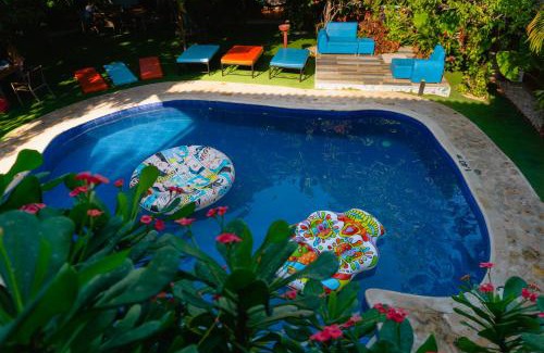 Mamatoco Hostel | Dreamer Santa Marta