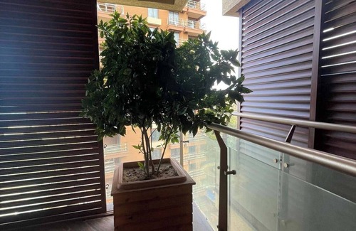 Chakvi Apartment | Dreamland Oasis 1206 Studio Room