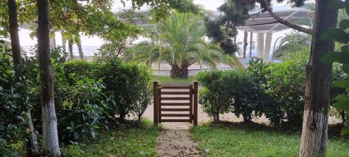 Chakvi Apartment | Dreamland Oasis Chakvi