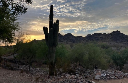 Camelback East House | Dreamy Desert Paradise 3BR Stunning Mountain Views