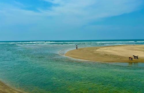 Morjim Hotel | Dreamy vibe Stays