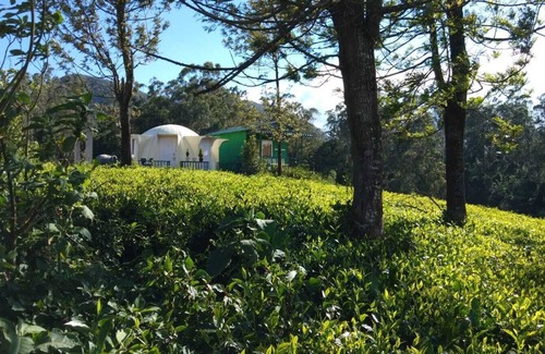 Mulligoor Resort | Dreamz Avalanche Lake View Resort