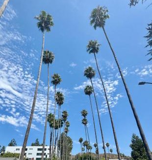 Hollywood Bed & Breakfast | Dresden B & B