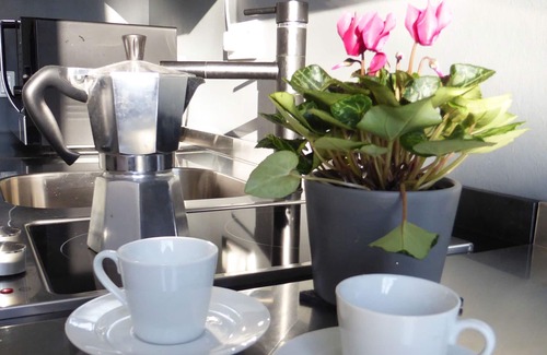 Loschwitz Apartment | Dresden, in a prime location on sunny Elbhang Appartement 1