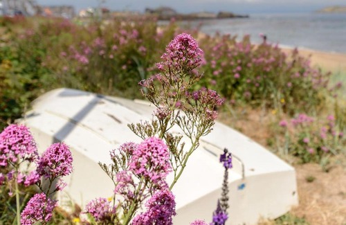 North Berwick House | Driftwood