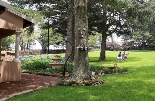Ermelo House | Drinkwater Guest Farm