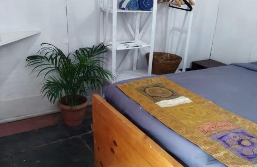 Patnem Resort | Drishti yoga international
