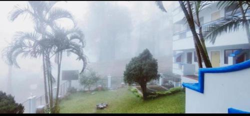 Yercaud Resort | Drizzling Resort