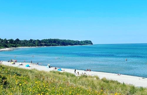 Dronningmolle Other | Dronningmølle Strand Camping