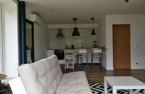 Druskininkai Apartment | Dru-Sky