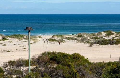 Buller Resort | Drummond Cove Holiday Park