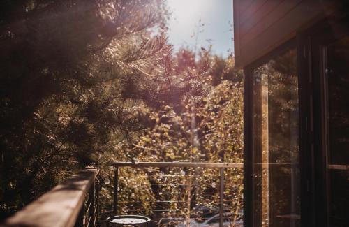 Rewal House | DRZEWOstan
