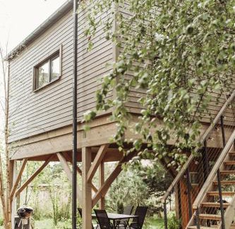 Rewal House | DRZEWOstan