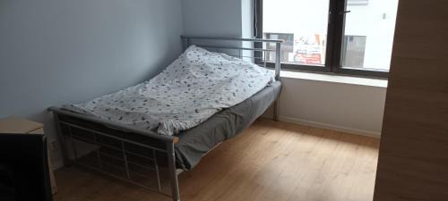 Tarnow Apartment | Duży pokój w centrum