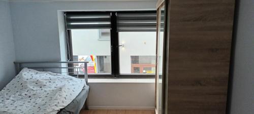 Tarnow Apartment | Duży pokój w centrum