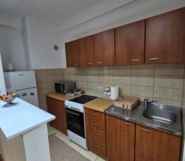 Sabac Apartment | Duca apartmani