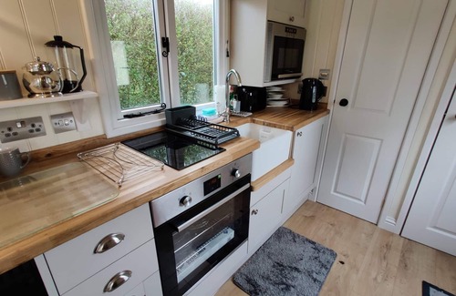 Upper Killay Apartment | Duck House - 1 Bed Shepherds Hut - Gower