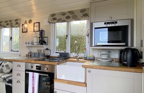 Upper Killay Apartment | Duck House - 1 Bed Shepherds Hut - Gower