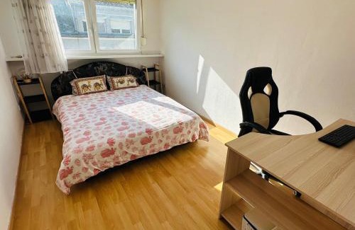 Dudelange Apartment | Dudelange Centre Loft - 2 Rooms at Top Floor
