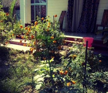 Jorhat Ski Chalet | "Dulce Hogar" homestay