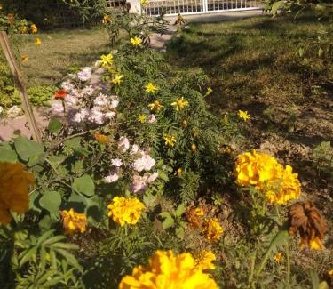 Jorhat Ski Chalet | "Dulce Hogar" homestay