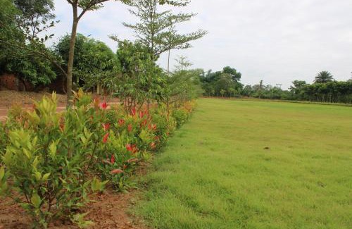 Jhargram Resort | Dulung Bari Resort by Six Seasons Celebrations