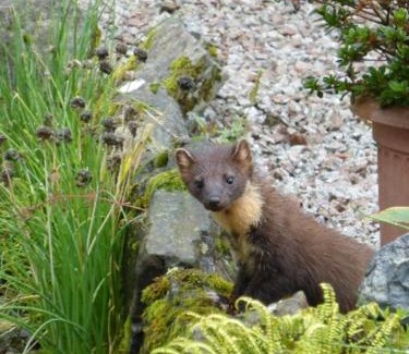 Lochgilphead Bed & Breakfast | Dunchraigaig House