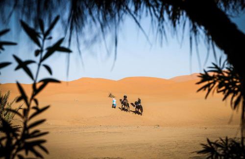 Hassilabied Bed & Breakfast | Dune House