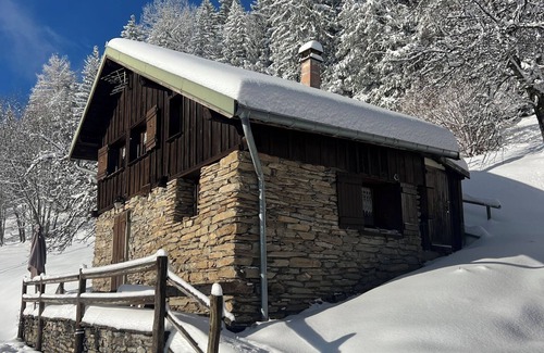 Doucy-Combelouviere Ski Chalet | Duo of chalets in the heart of the Grand Domaine (18pers)