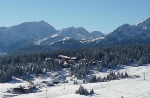 Les Saisies Apartment | Duplex 3P, 6 pers, balcon, TV, lave-vaisselle, animaux tolérés - FR-1-293-80