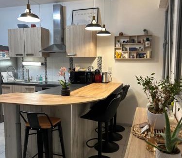 Montbeliard Apartment | Duplex 65m2 lumineux avec vue sur le chateau 3 étoiles