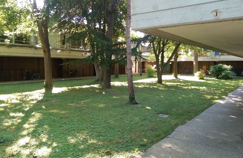 Alberoni Apartment | Duplex apartment with swimming pool in Alberoni, Lido of Venice